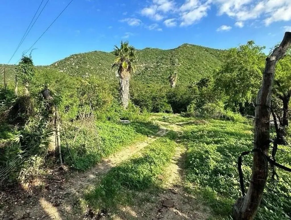 Orchard Land  San Bartolo Bcs, East Cape