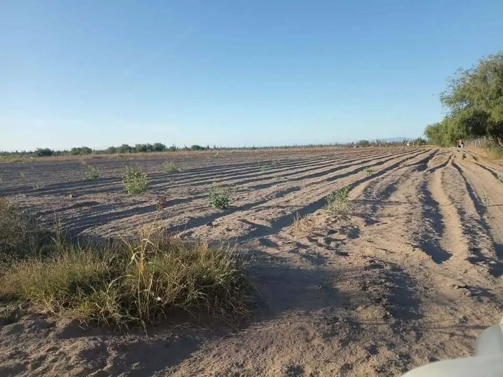 Calle Acceso, Alfredo V Bonfil Terreno En Venta, Pacific