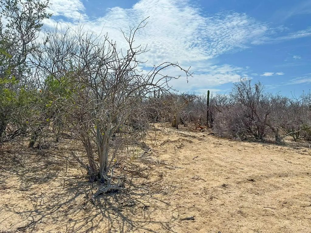 Candelilla Lot 24, East Cape