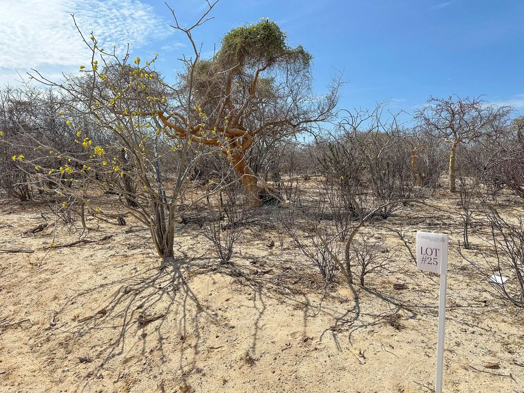 Candelilla Lot 25, East Cape