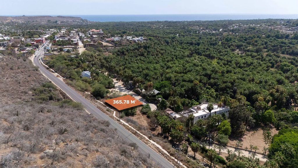 Lote Cardon Todos Santos, Pacific