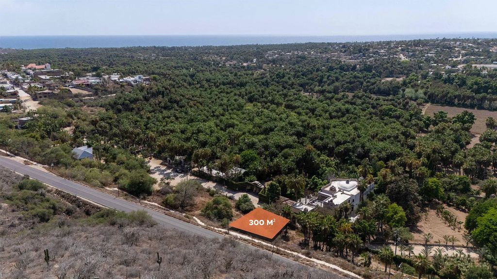 Lote Agave Todos Santos, Pacific