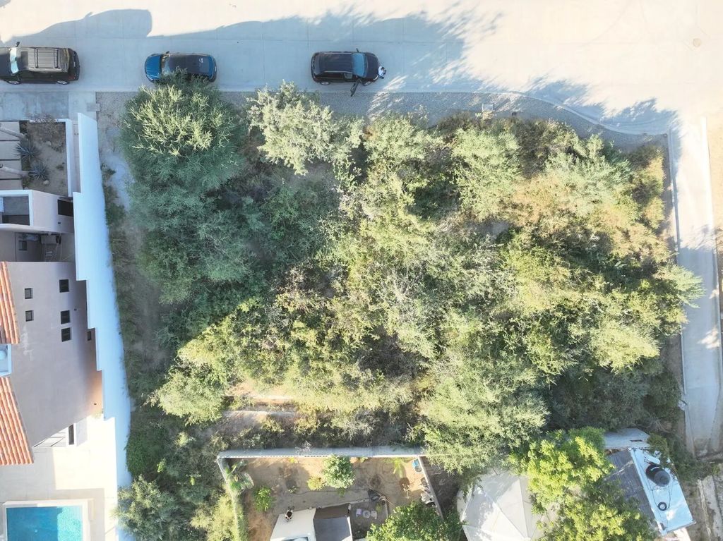 Lote 96, San Jose del Cabo
