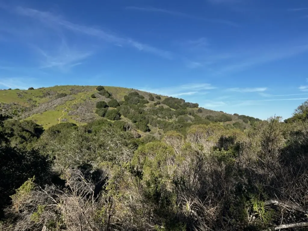 0000 Bartlett Way, BELMONT