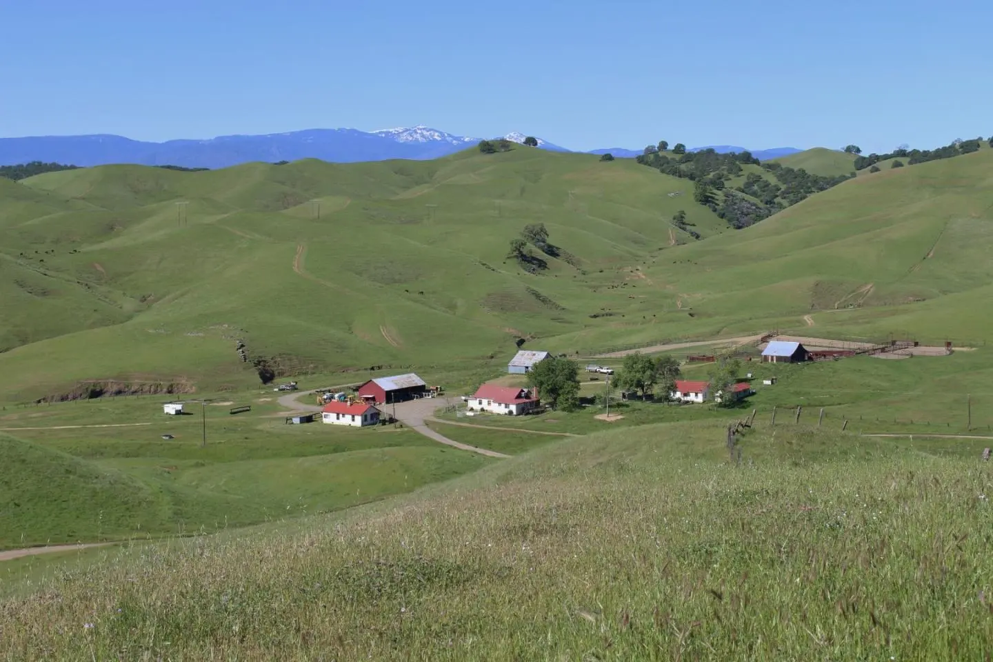 1 Mcauliffe Road, IGO