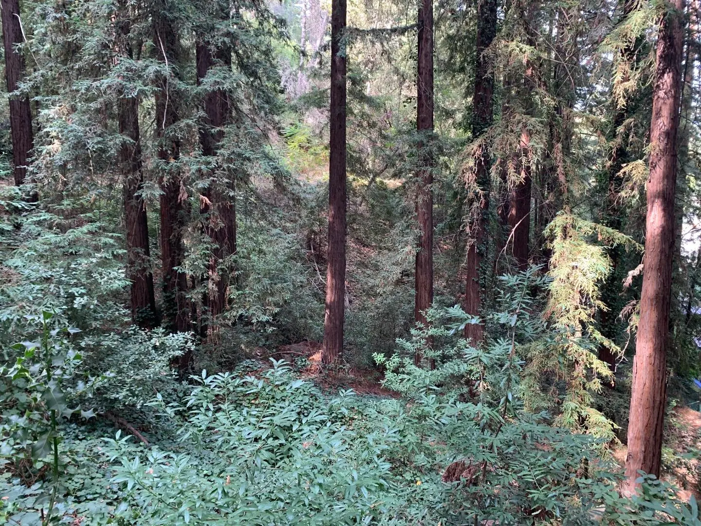 0 Helen Way, LOS GATOS