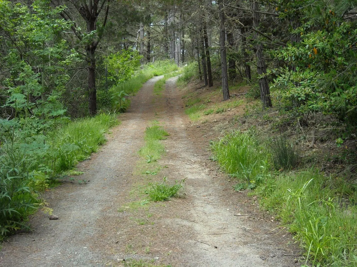 700 Cedar St., MONTARA