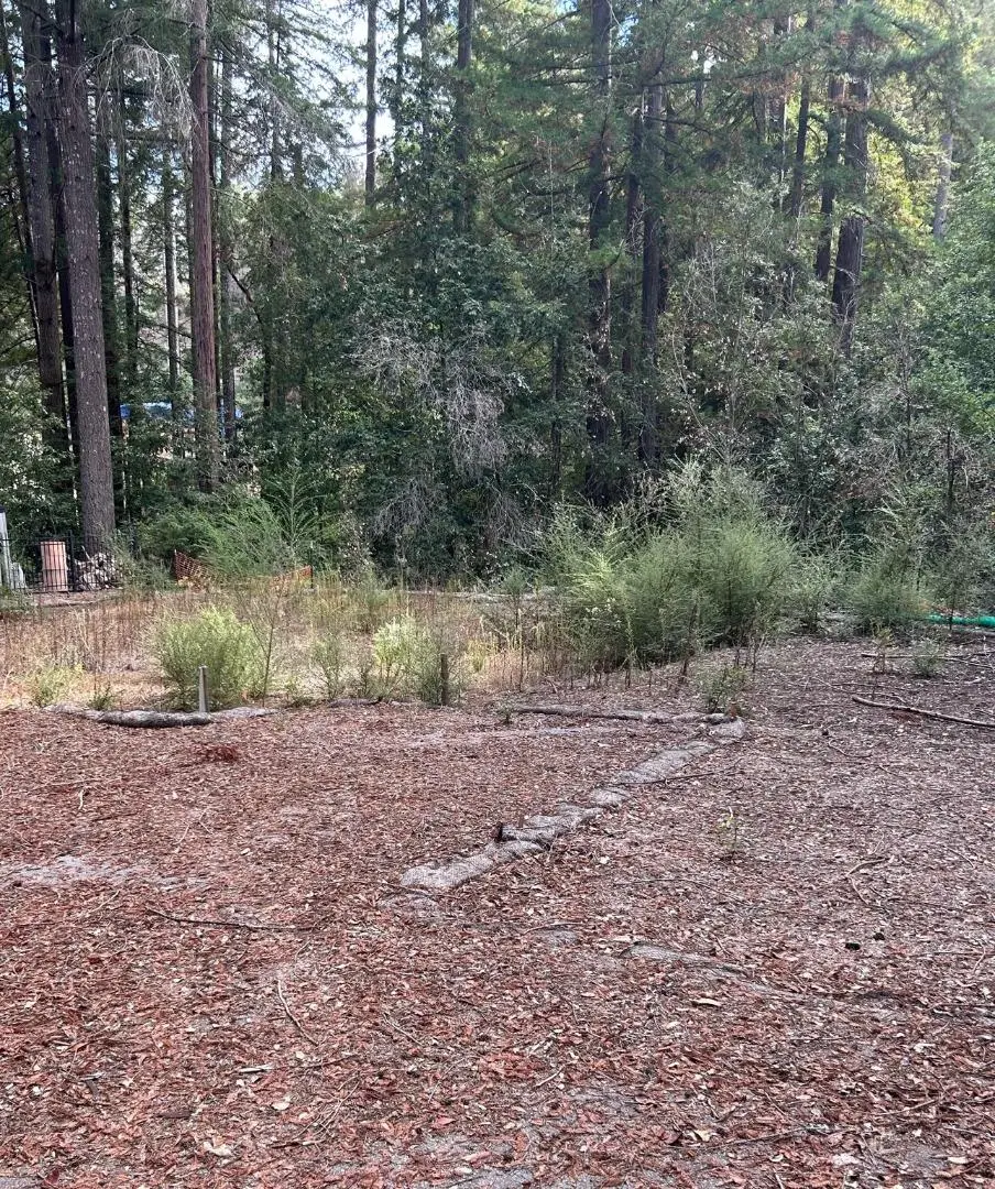 235 Double Bogey Dr, BOULDER CREEK