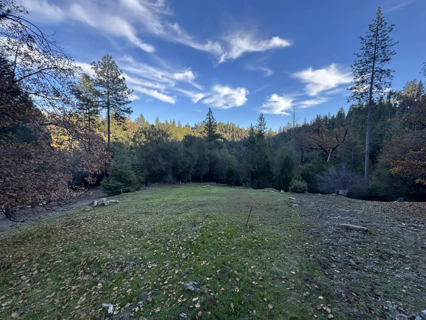 13003 Wells Fargo Dr, GROVELAND