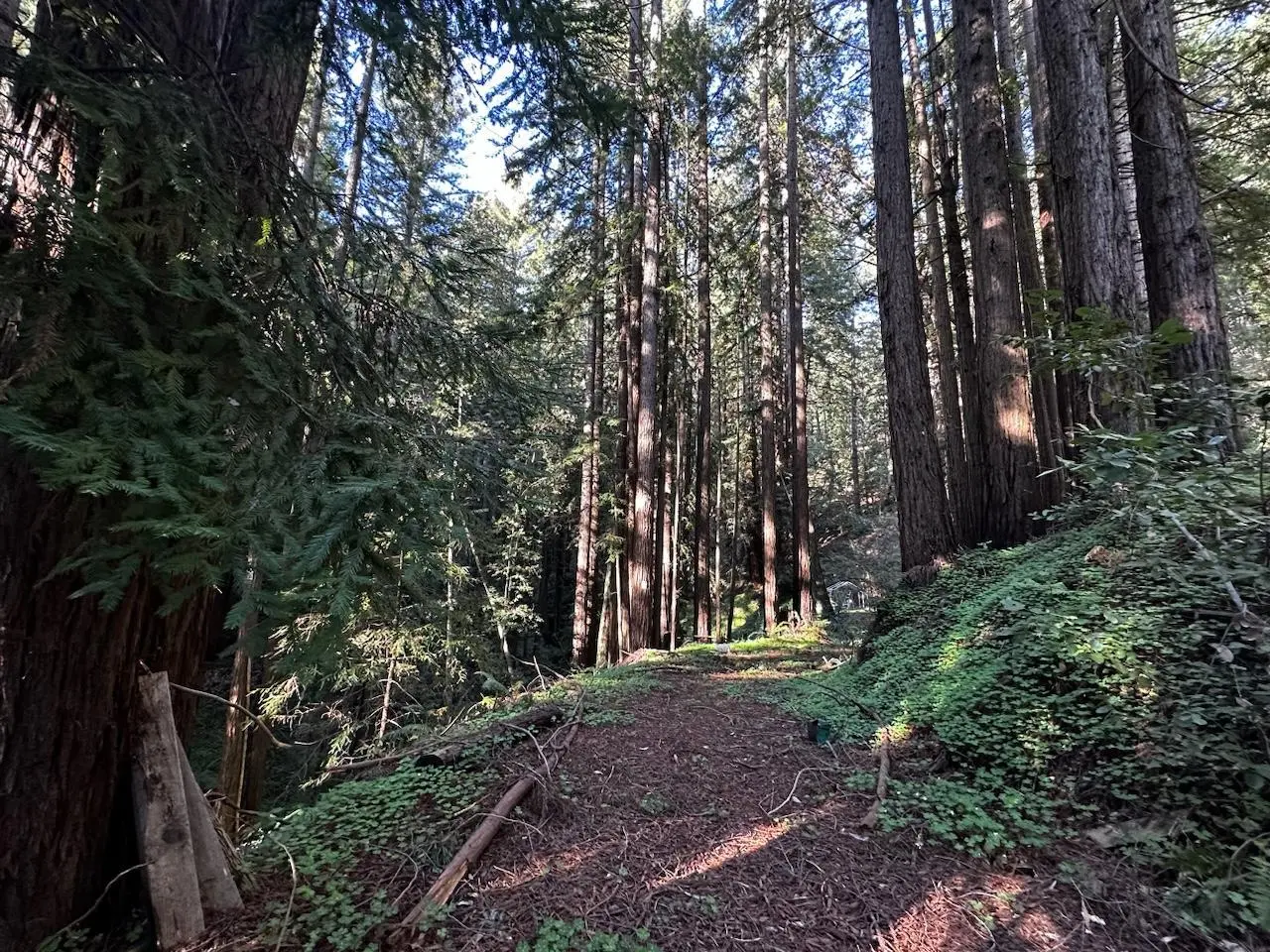 0 Warren, SANTA CRUZ