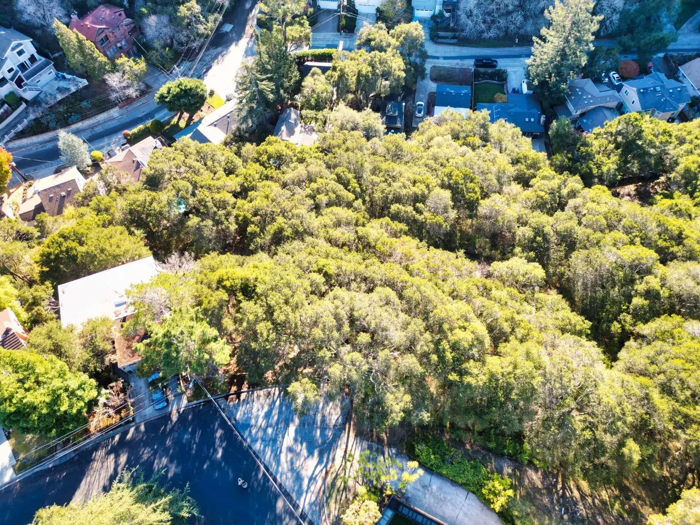 0 San Ardo Way, BELMONT