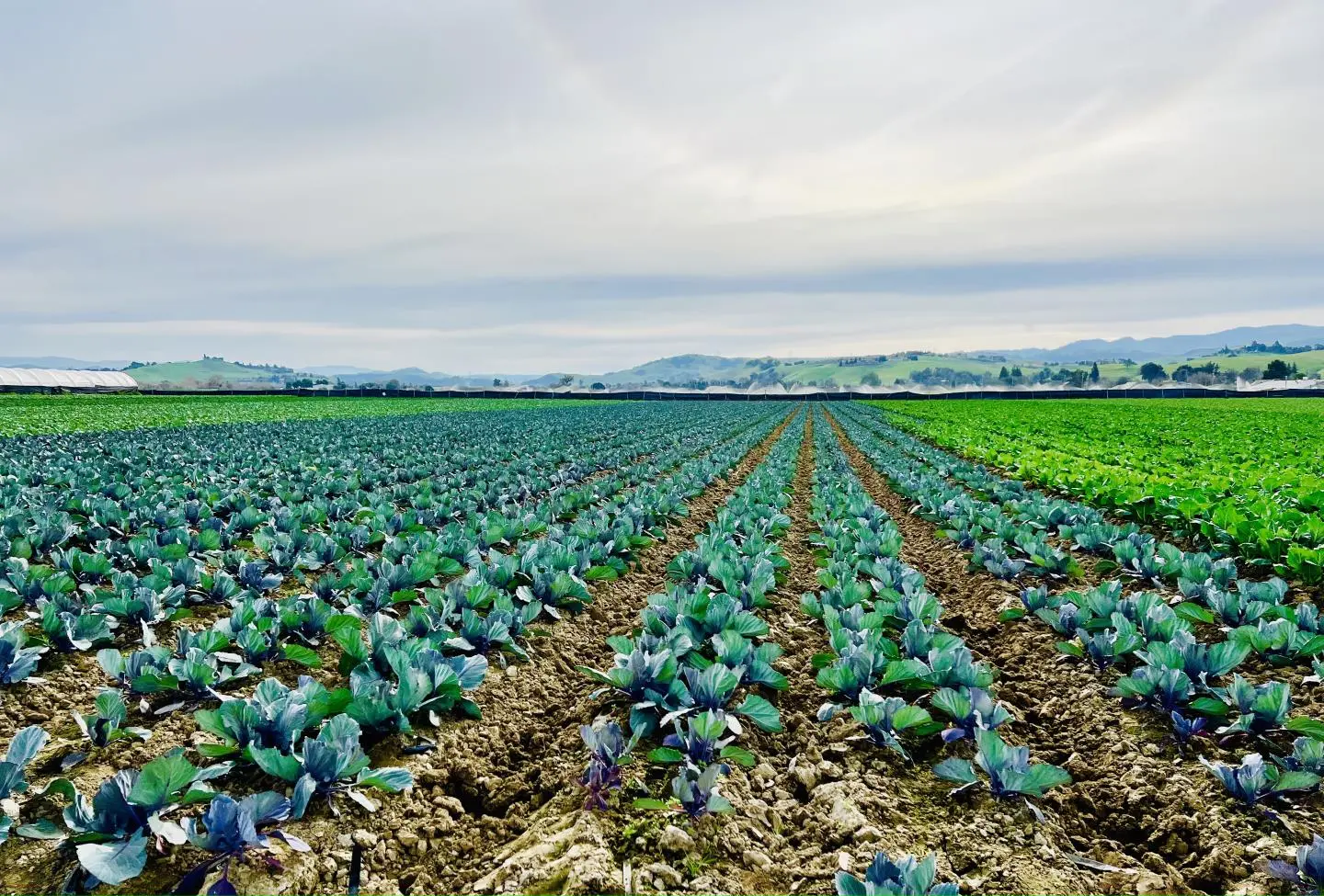 320 Riverside Rd, HOLLISTER