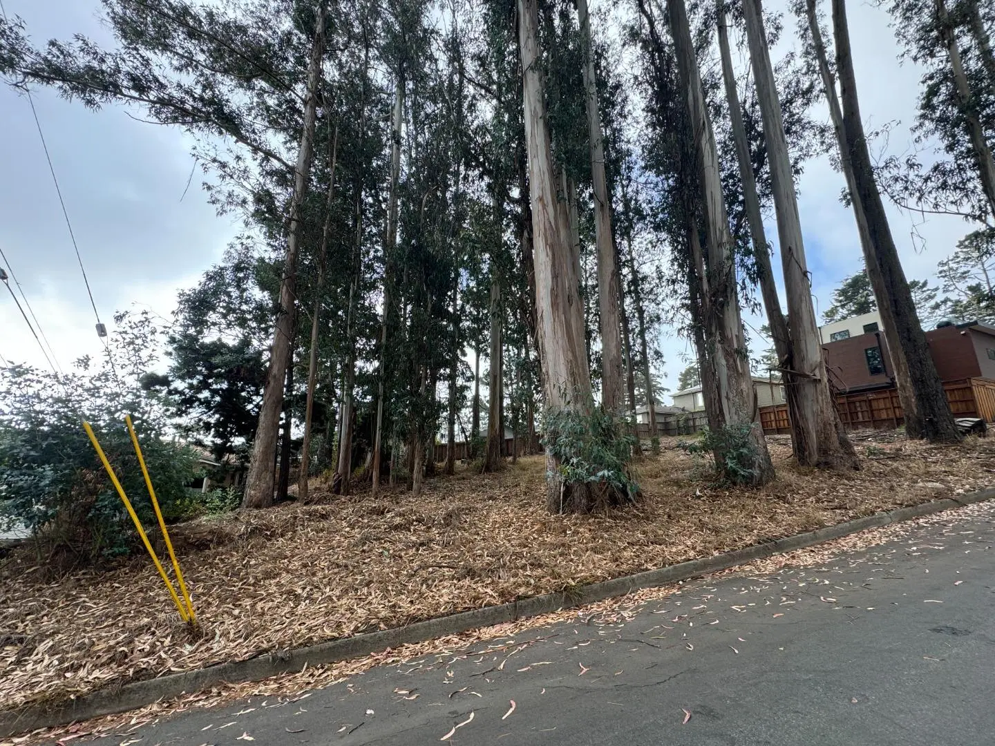 000 The Alameda, EL GRANADA