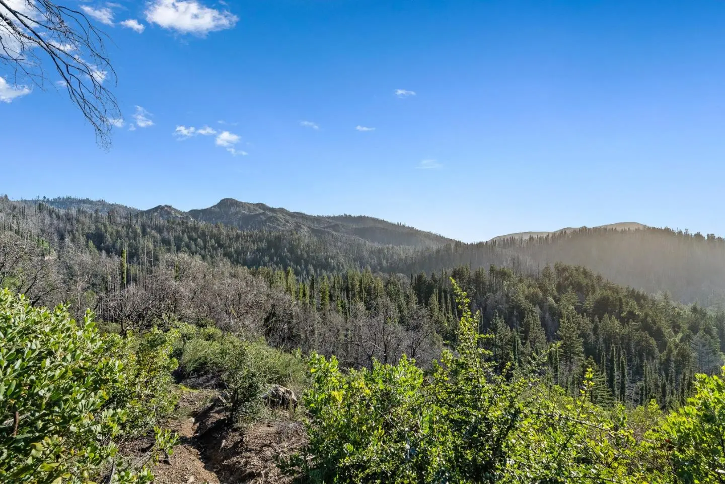 21200 Big Basin Way, BOULDER CREEK