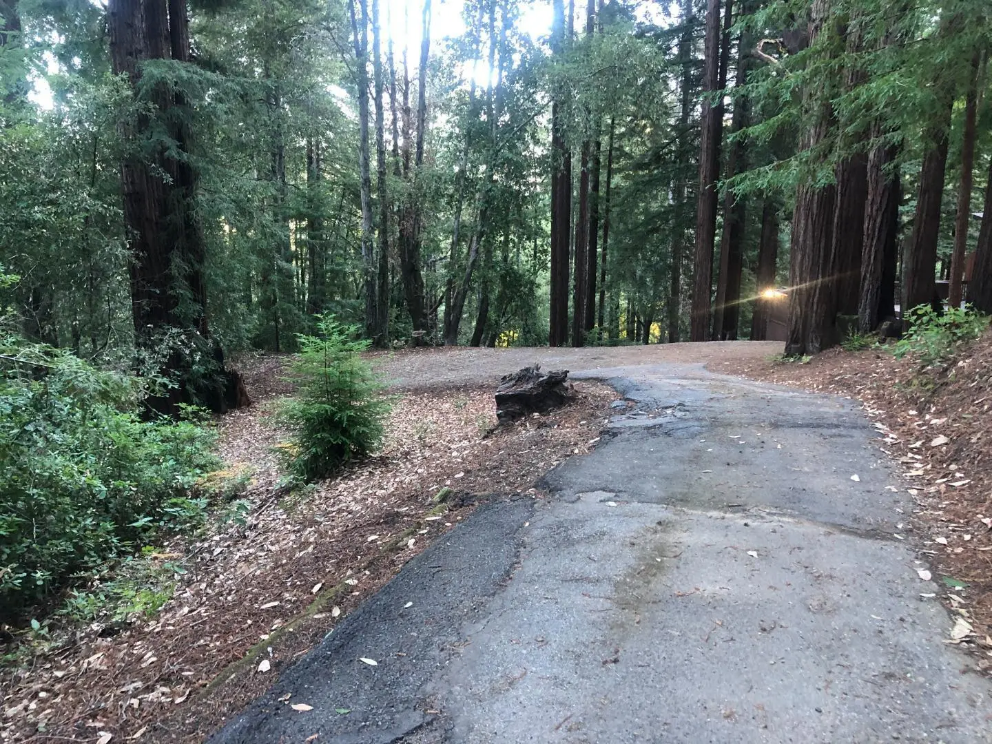 333 Western Avenue, BROOKDALE