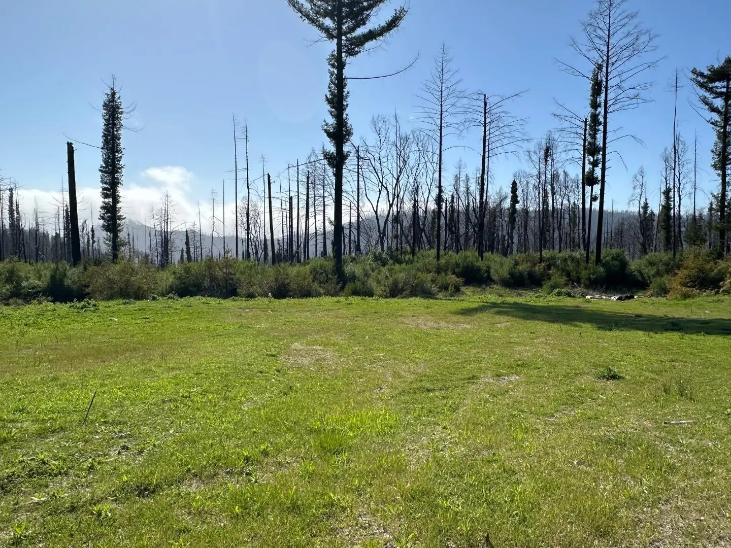 4605 Last Chance Rd, DAVENPORT