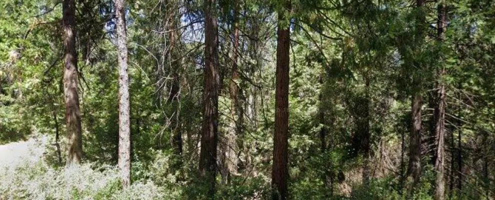 166 Higdon Rd, WEST POINT