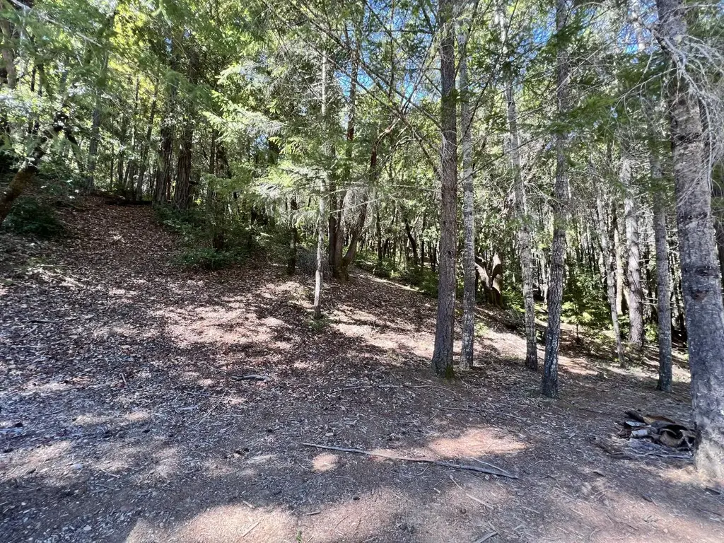 24858 Clover Rd, WILLITS