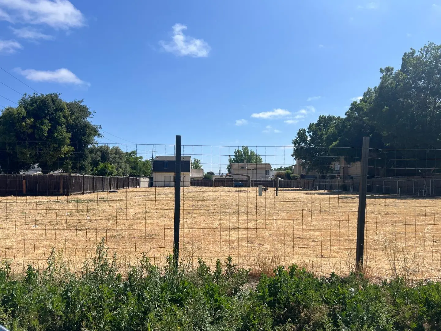 0 Mustang, KING CITY