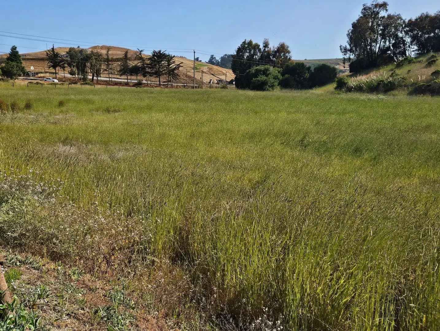 1203 Buena Vista Dr, WATSONVILLE