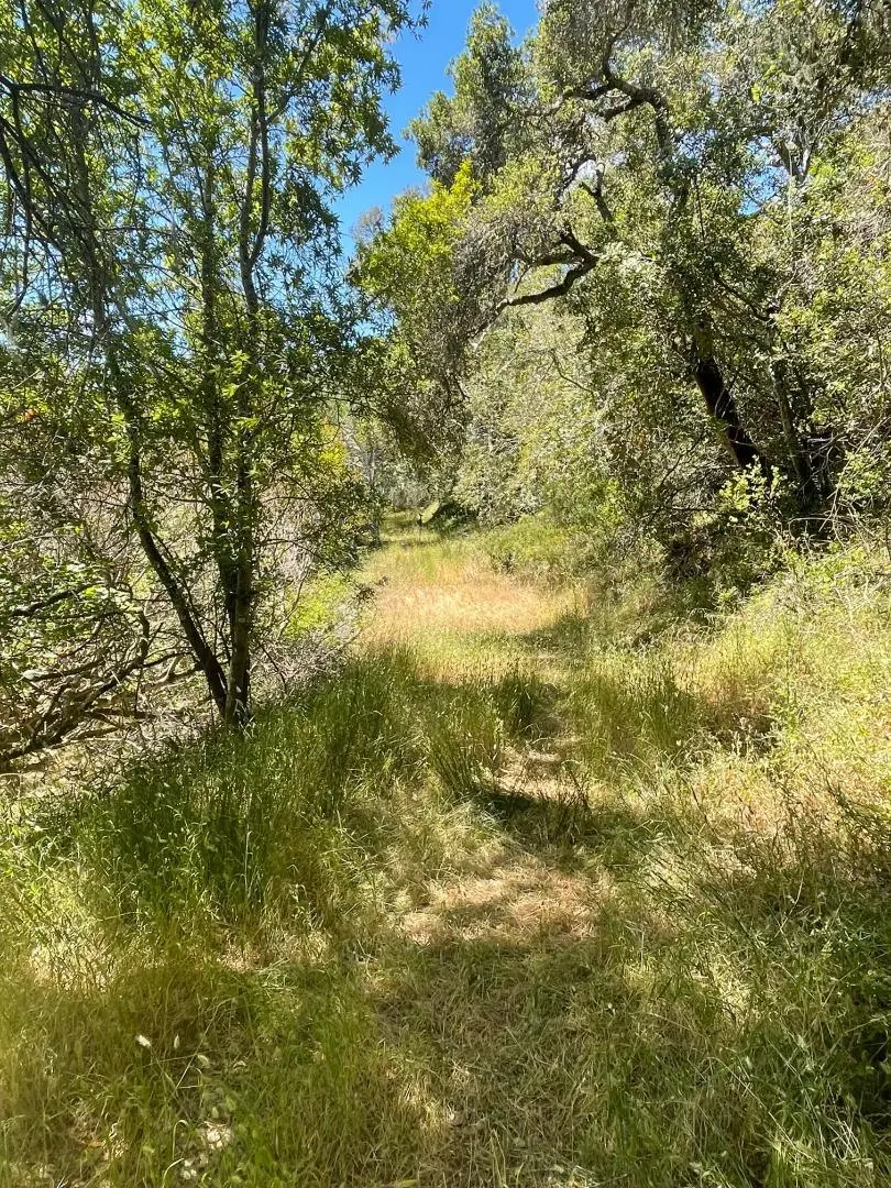 0 Crystal Springs Rd, HILLSBOROUGH