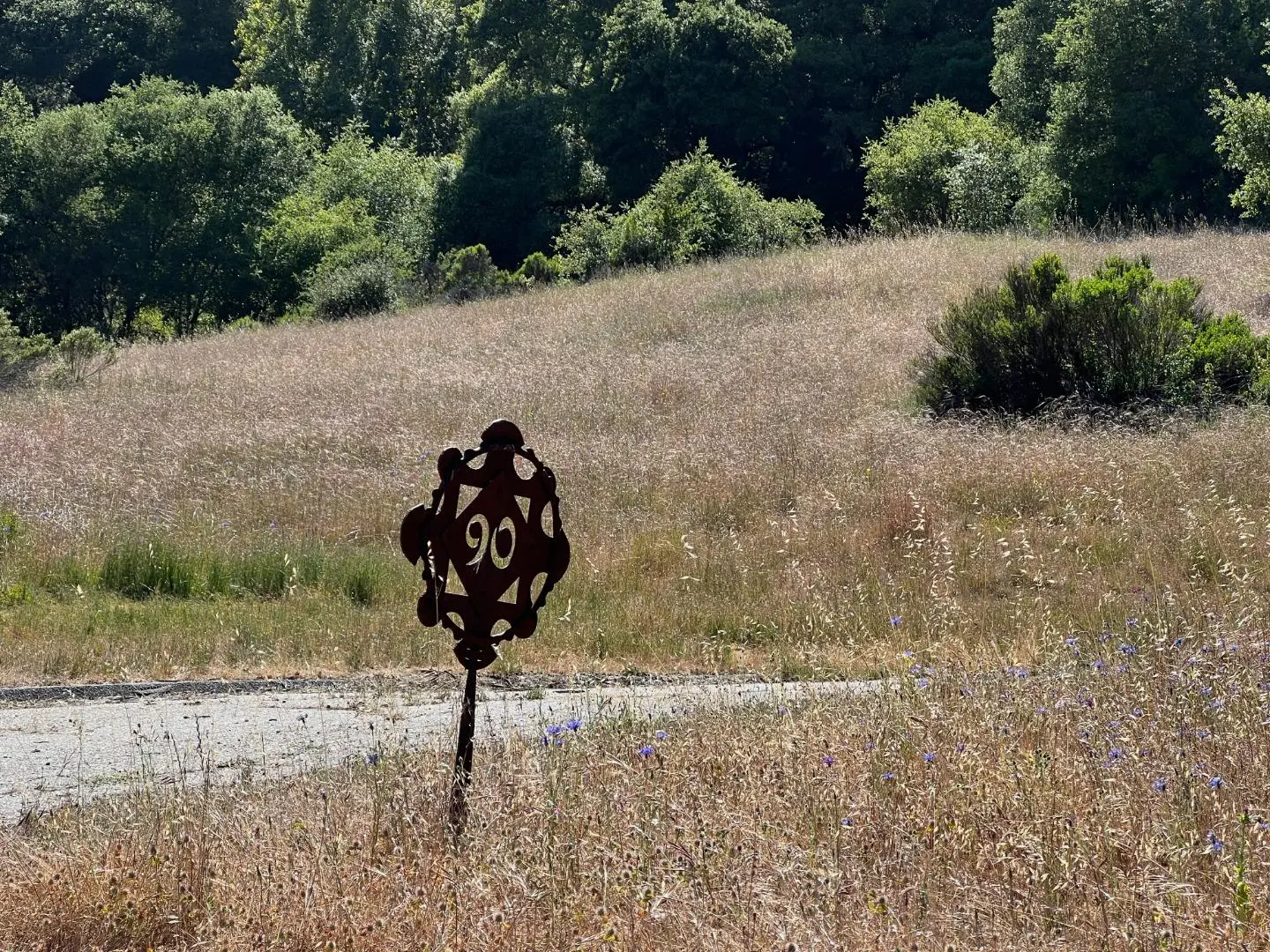 6 Arroyo Sequoia, CARMEL