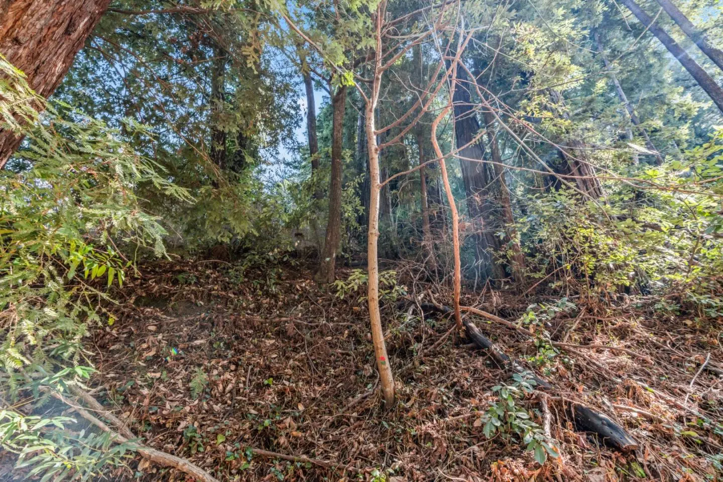 Lot 28 La Lena St, FELTON