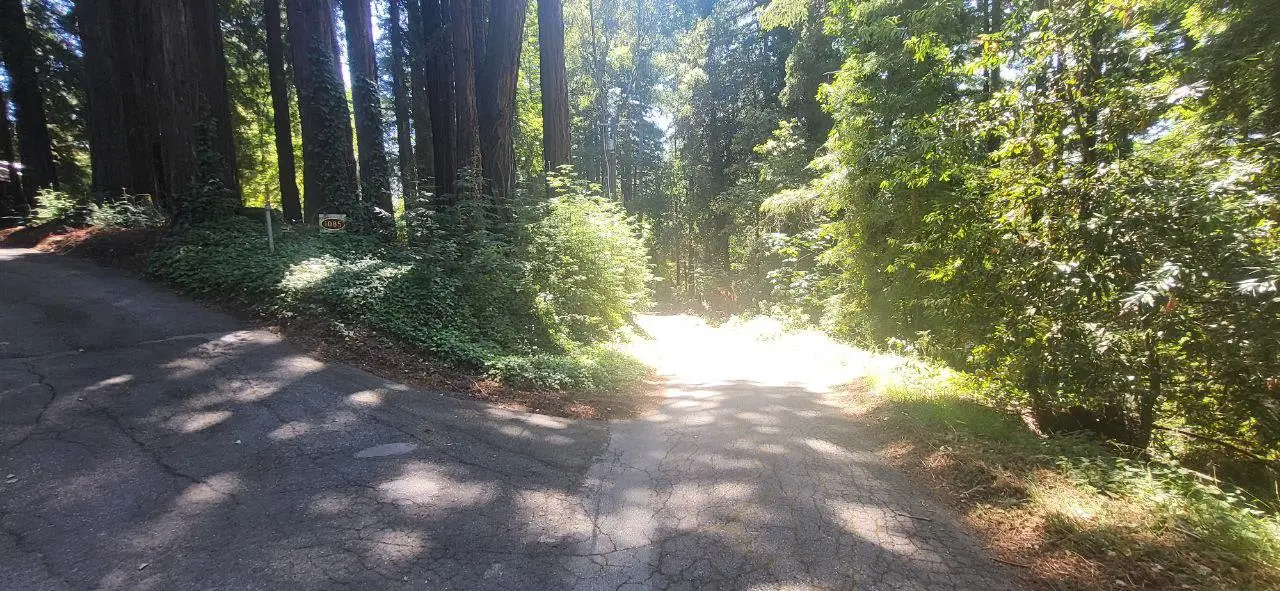 1080 Blue Ridge Dr, BOULDER CREEK