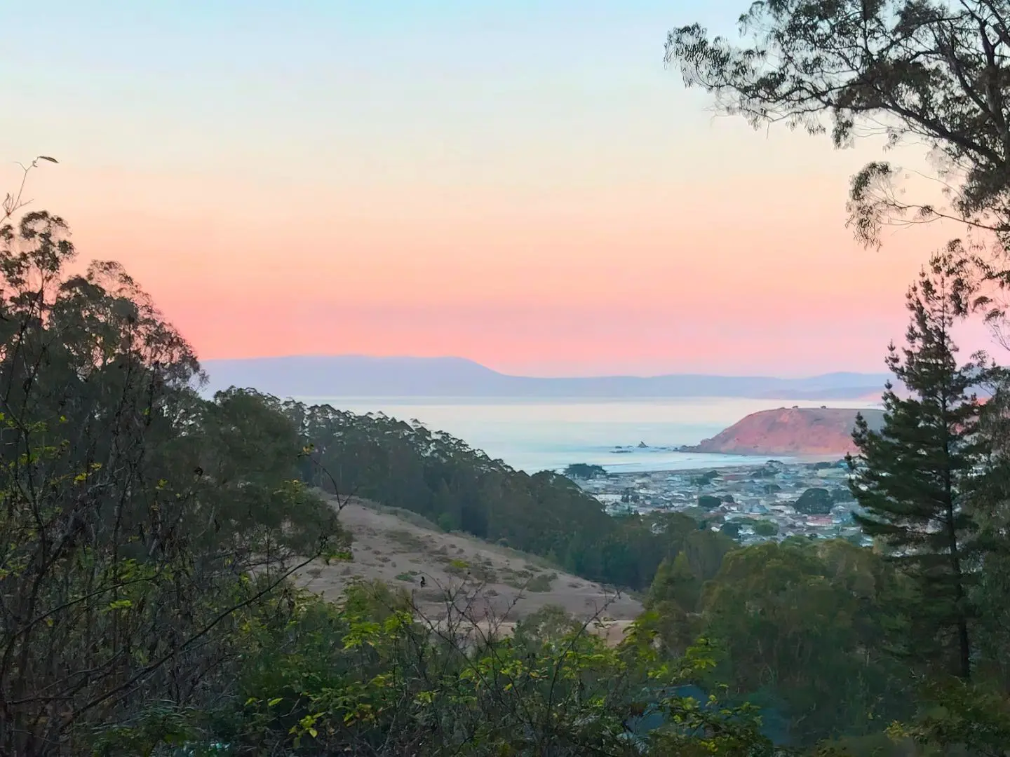 00 Adobe Dr, PACIFICA