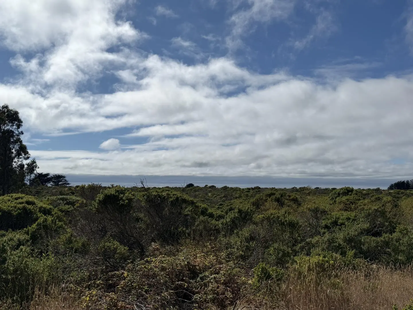 000 Bonita Ave., HALF MOON BAY