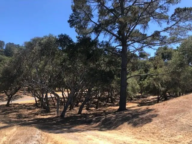 7735 Paseo Venado (lot 82), MONTEREY