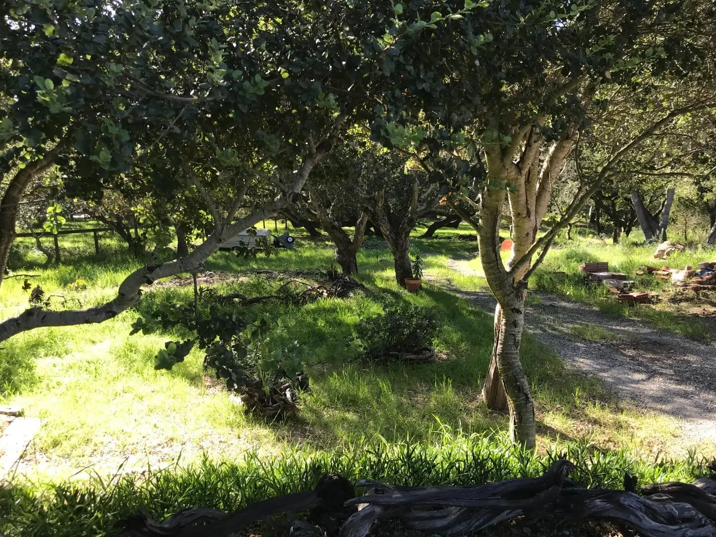 6967 Valle Pacifico Rd, SALINAS