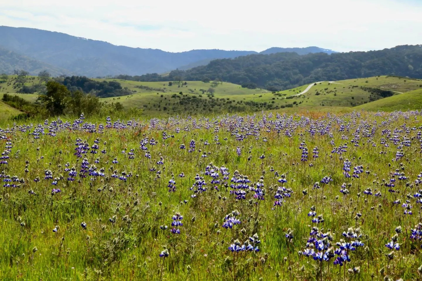 1 Penon Peak (lot 217) Trl, CARMEL