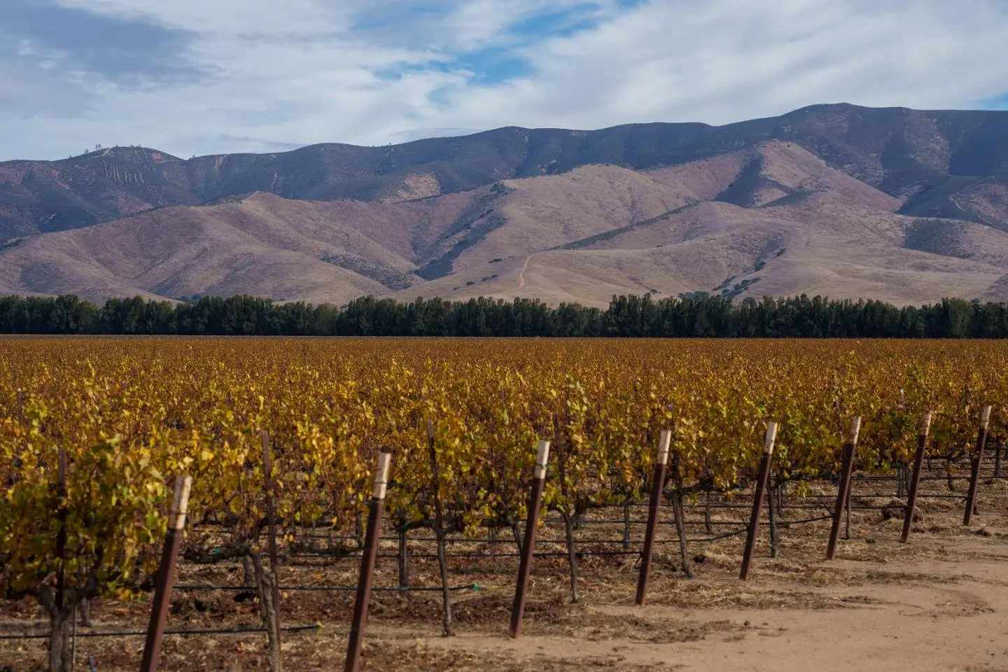 31102 Camphora Gloria Rd, SOLEDAD