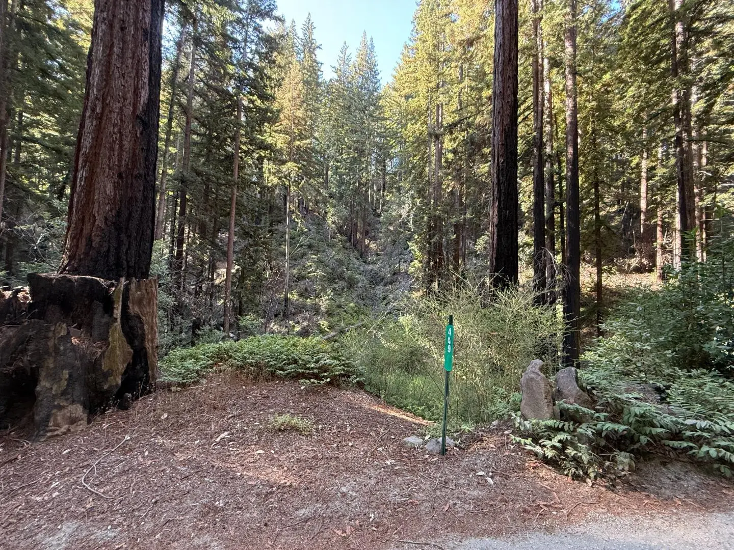 449 Band Rd, BOULDER CREEK