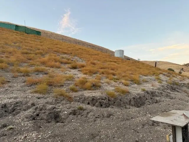 62973 Argyle Rd, KING CITY