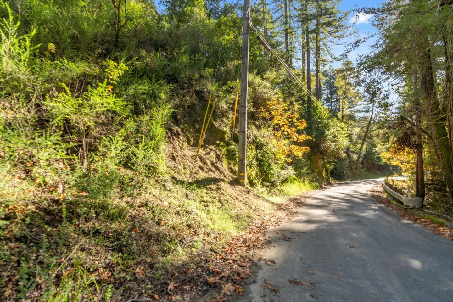 01 Lompico Rd, FELTON