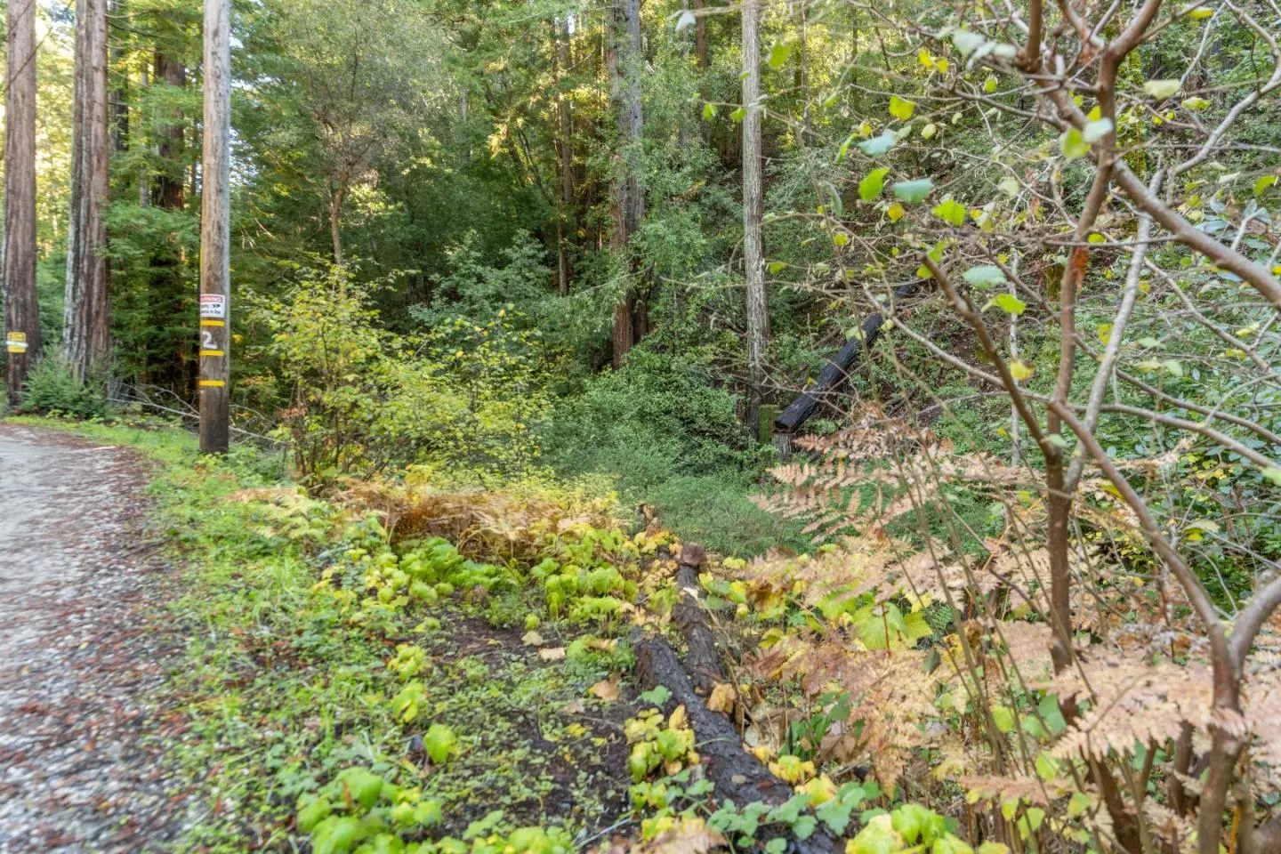 4 Old Mill Ave, FELTON