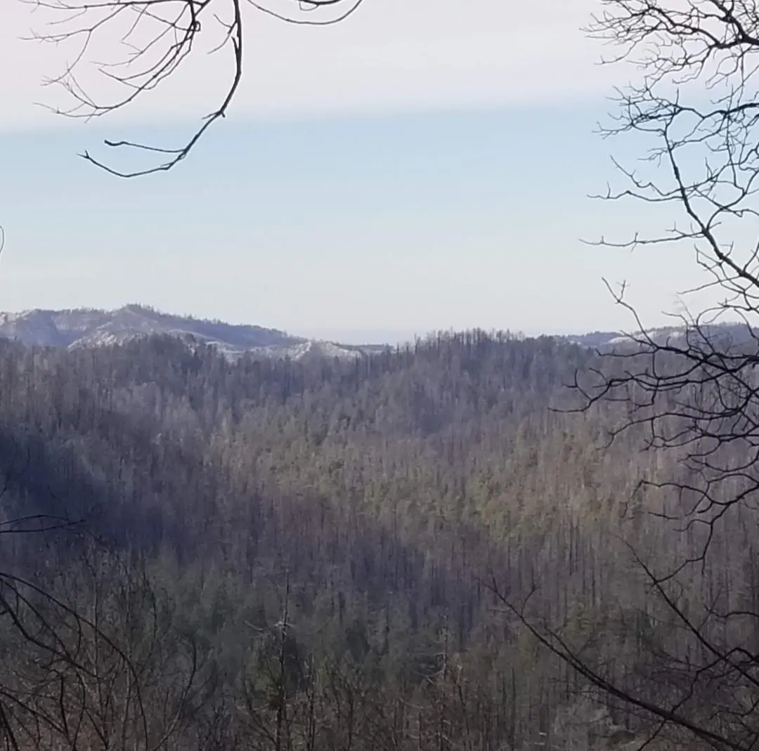 20604 Little Basin Rd, BOULDER CREEK