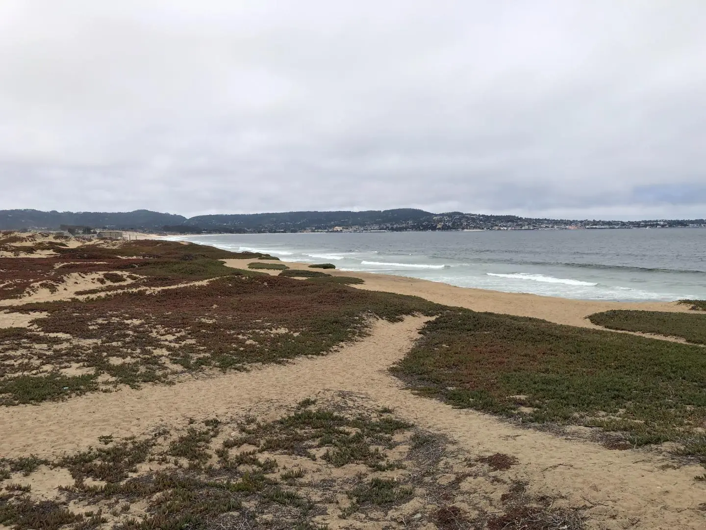 0 Tioga Ave, SAND CITY