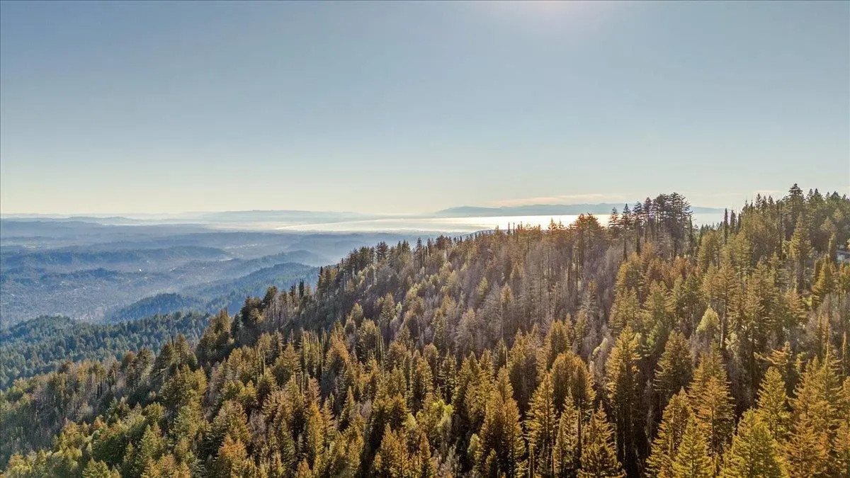 11035 Empire Grade, Santa Cruz