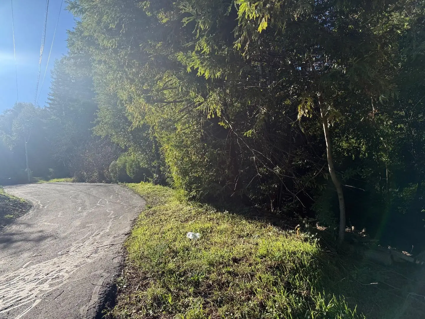 20525 Iron Springs Rd, LOS GATOS