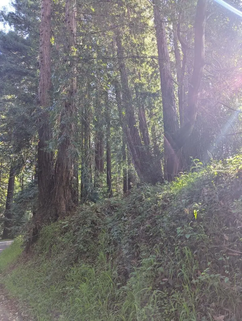 8055 Glen Haven Rd, SOQUEL