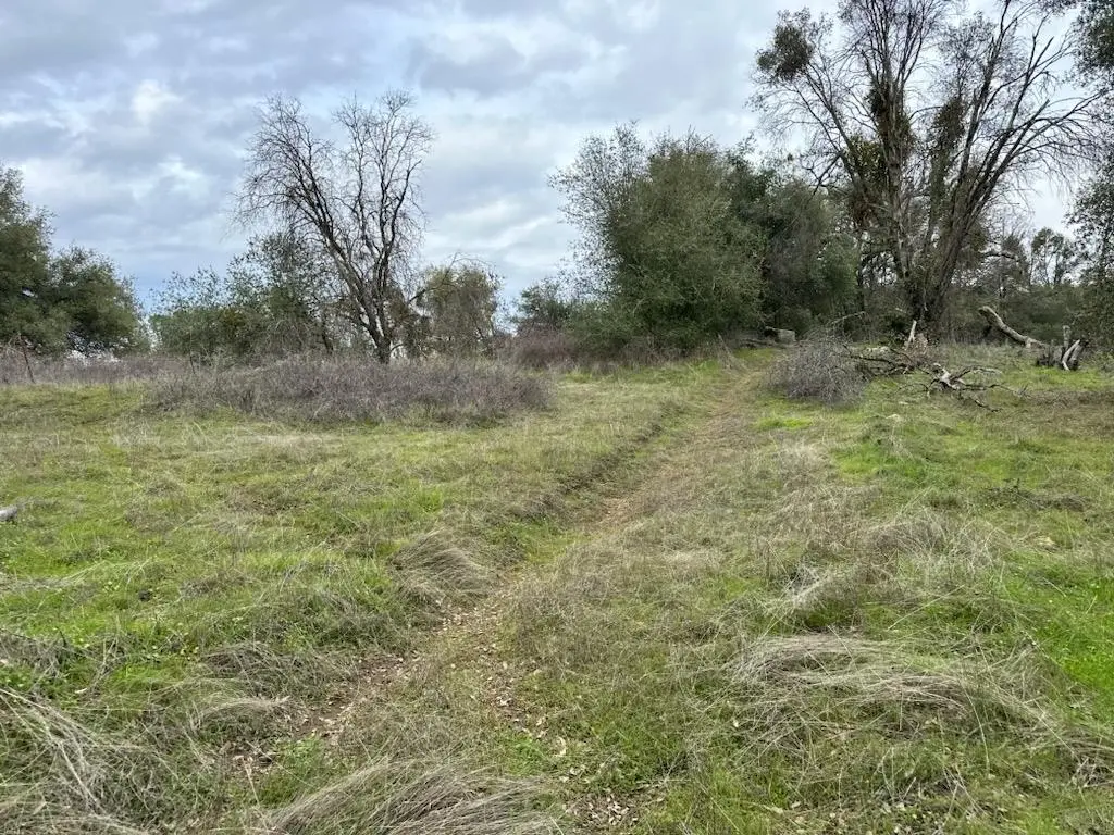 4822 Indian Peaks Rd, MARIPOSA