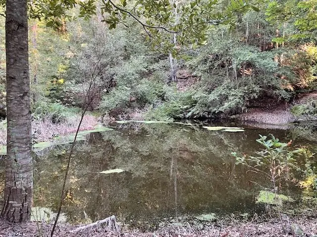 00 Love Creek, BEN LOMOND