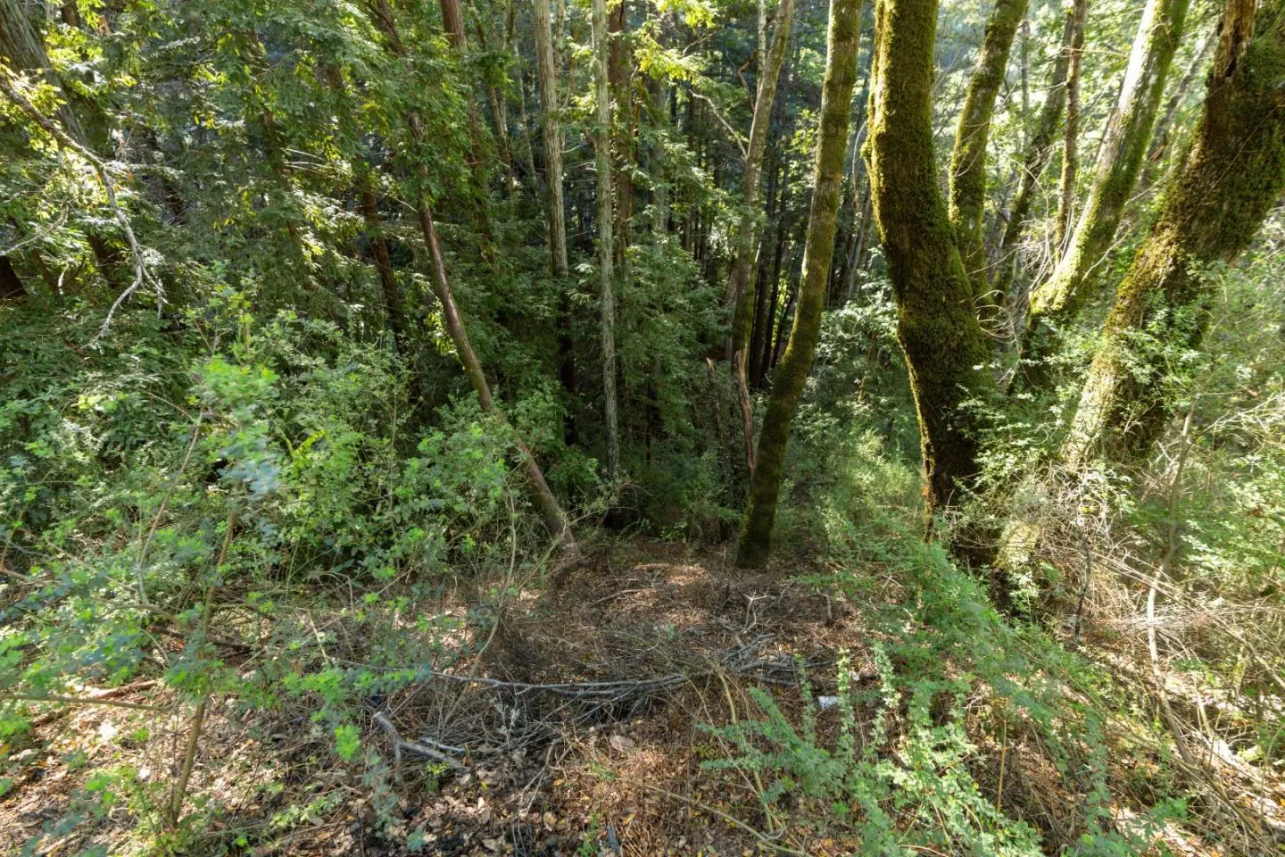 43 And 44 Buckeye St, FELTON