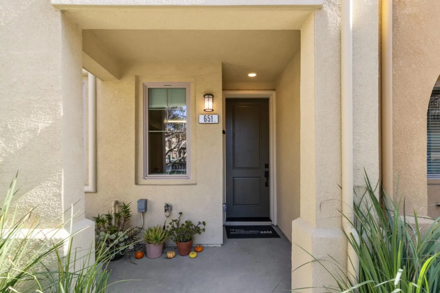 651 Cinnamon, MOUNTAIN VIEW