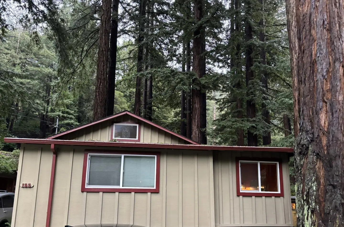 155 Mcgaffigan Mill Rd, Boulder Creek