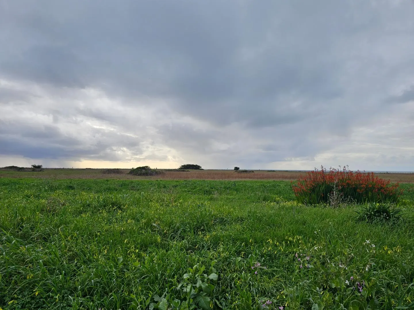 0 Pacific Ave, HALF MOON BAY