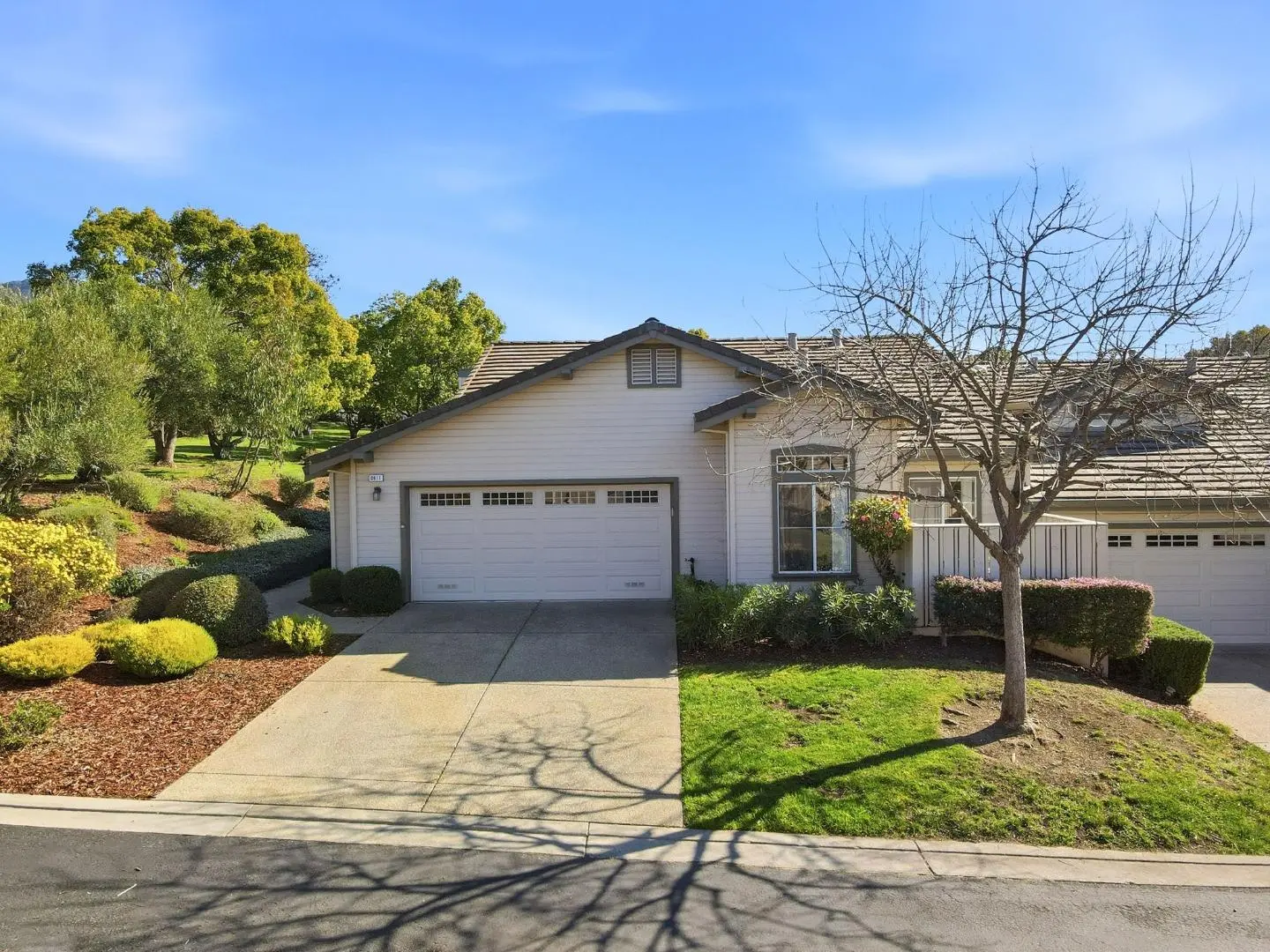 8611 Vineyard Ridge Pl, SAN JOSE